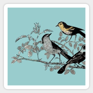 Drawing of birds Magnet